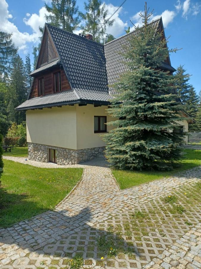 Apartamenty Przy Potoku Zakopane Exteriör bild